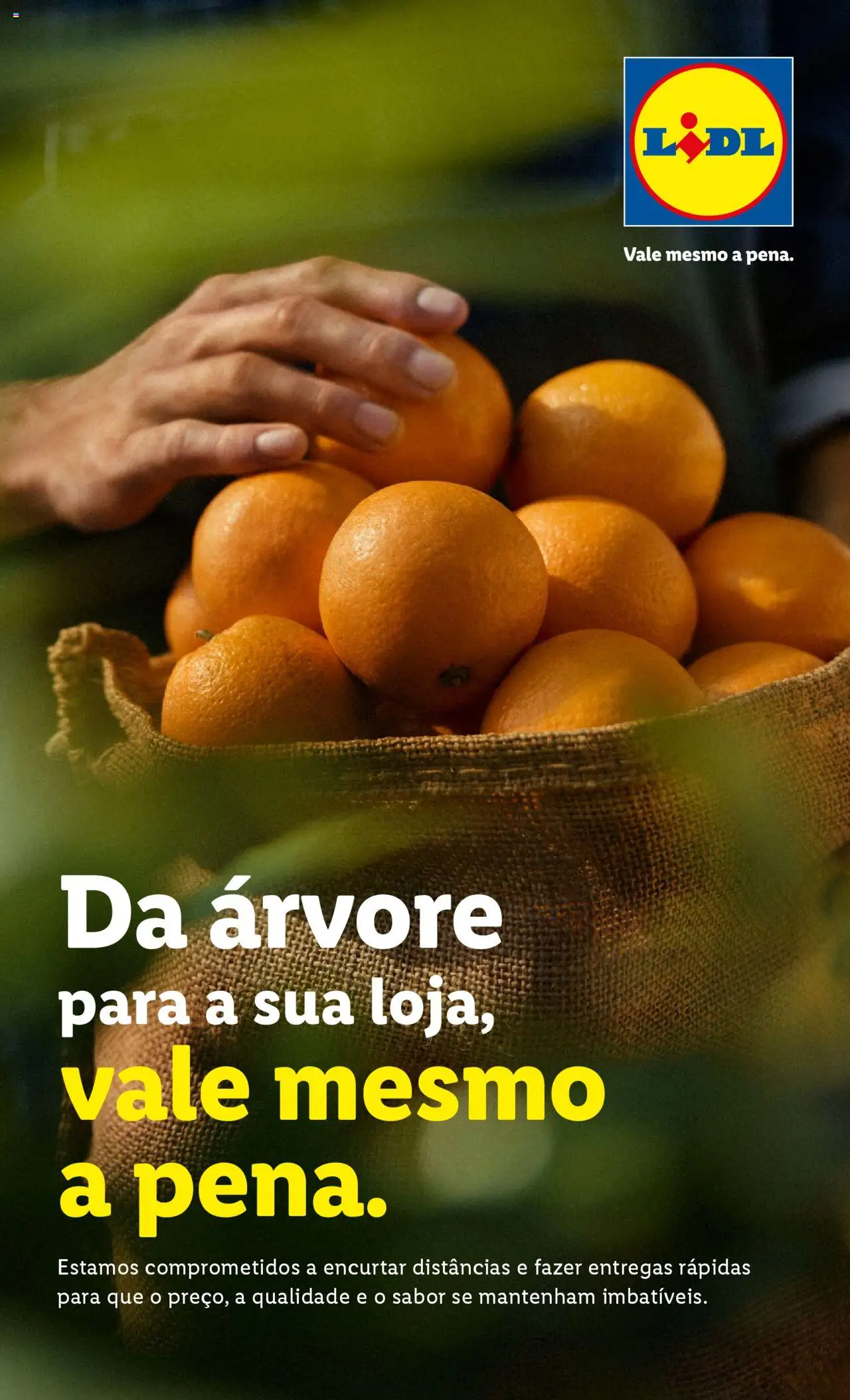 Lidl folheto │ válido de 06.10.2025 | Página: 3