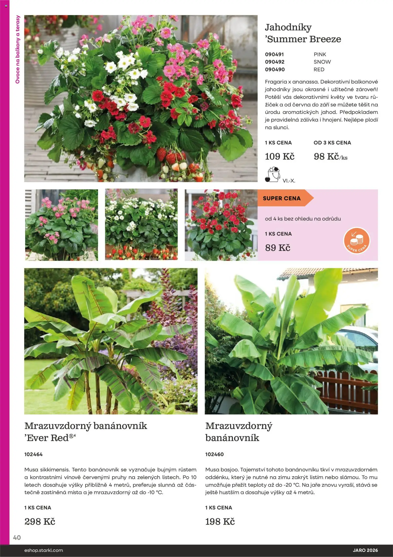 Starkl katalog Jaro 2026 od 25.02.2026 | Strana: 40 | Produkty: Ovoce