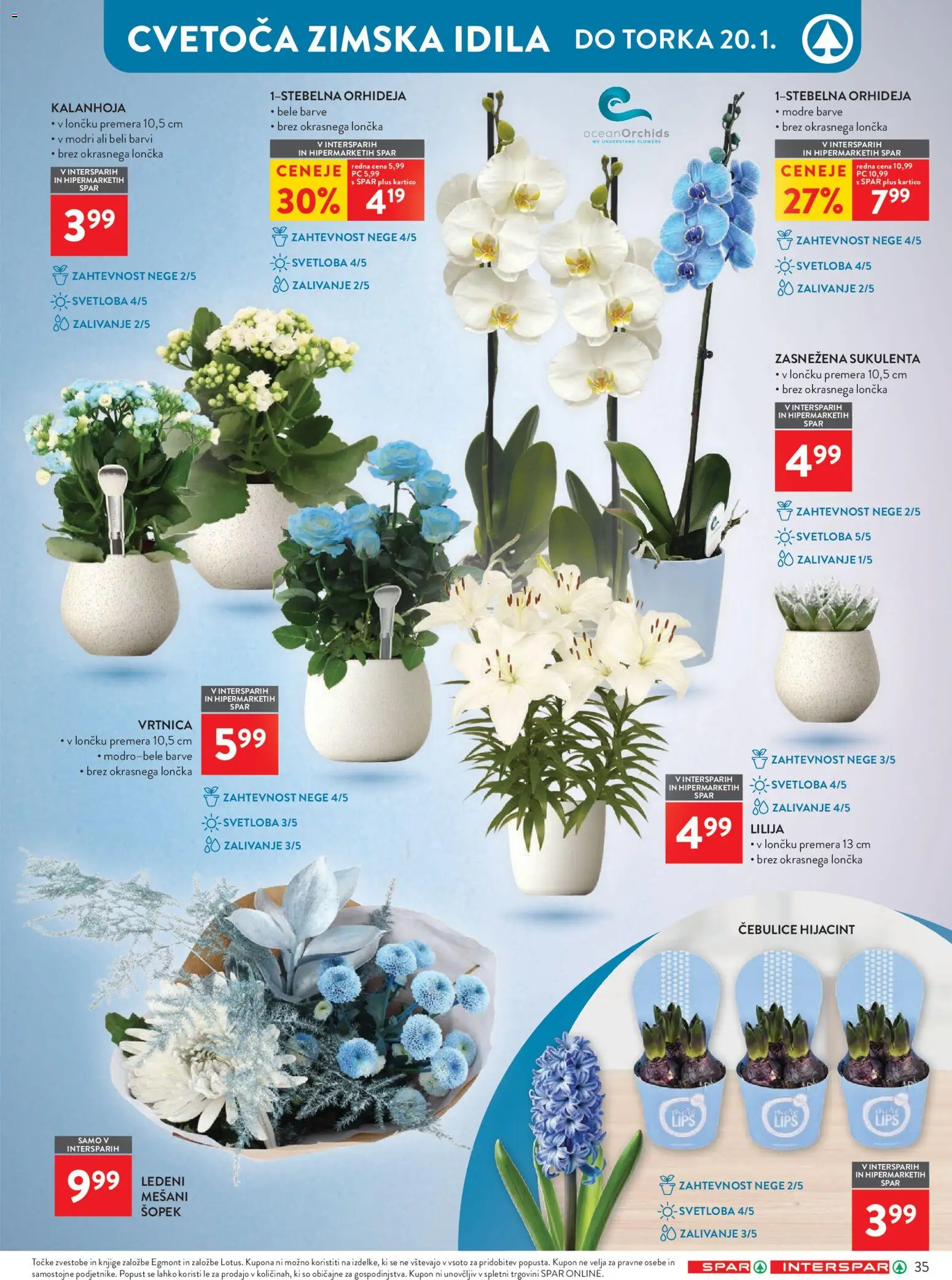 Novi Spar katalog ponudbe – veljaven od 07.01.2026 | Stran: 40 | Izdelki: Šopek