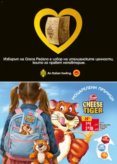 Преглед на Grana Padano, Italian cheese - Офертите са валидни от 05.02.2026 | Страница: 6 | Продукти: Raquettes de ping-pong