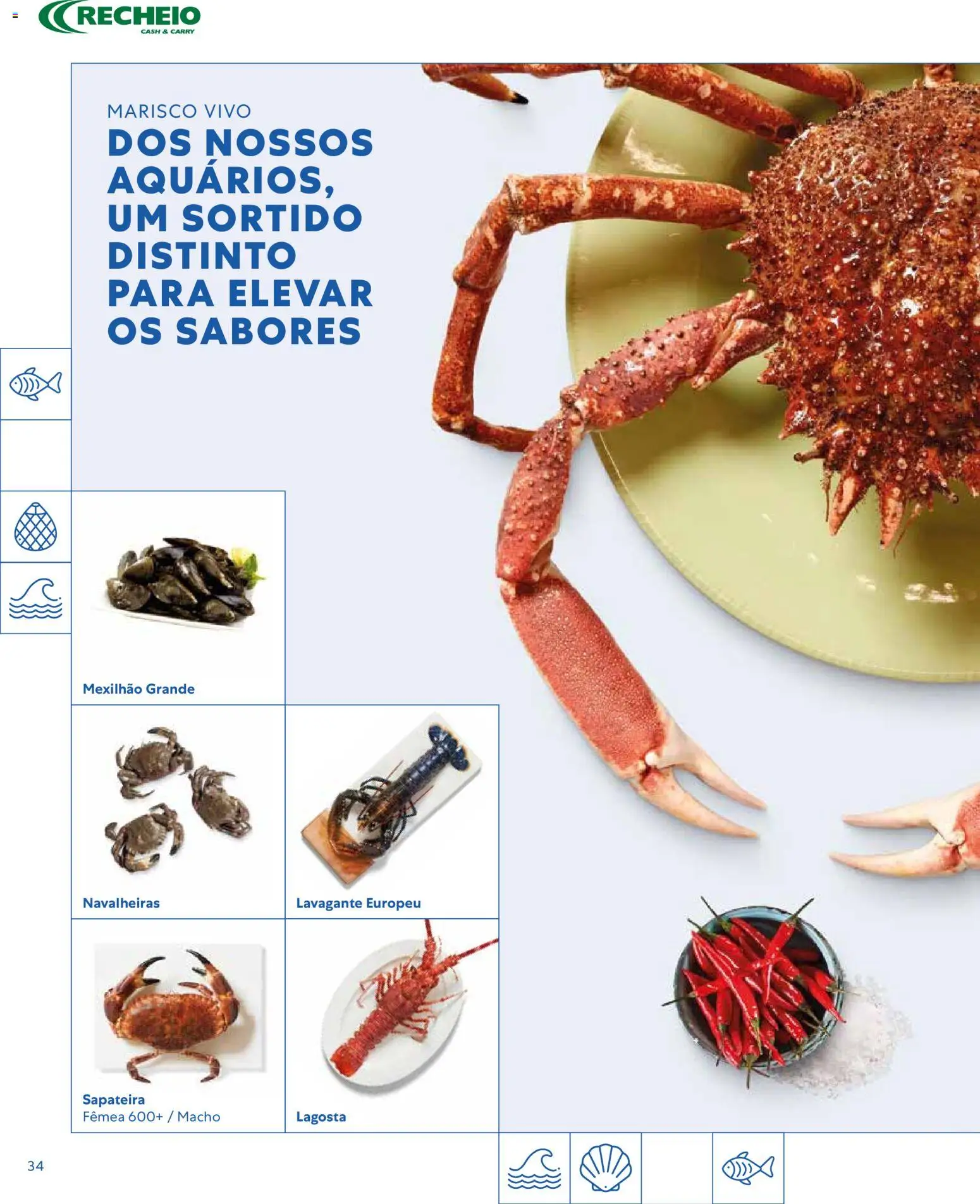 Recheio - Catálogo de Alfragide │ válido de 16.03.2026 | Página: 34 | Produtos: Lagosta, Sapateira