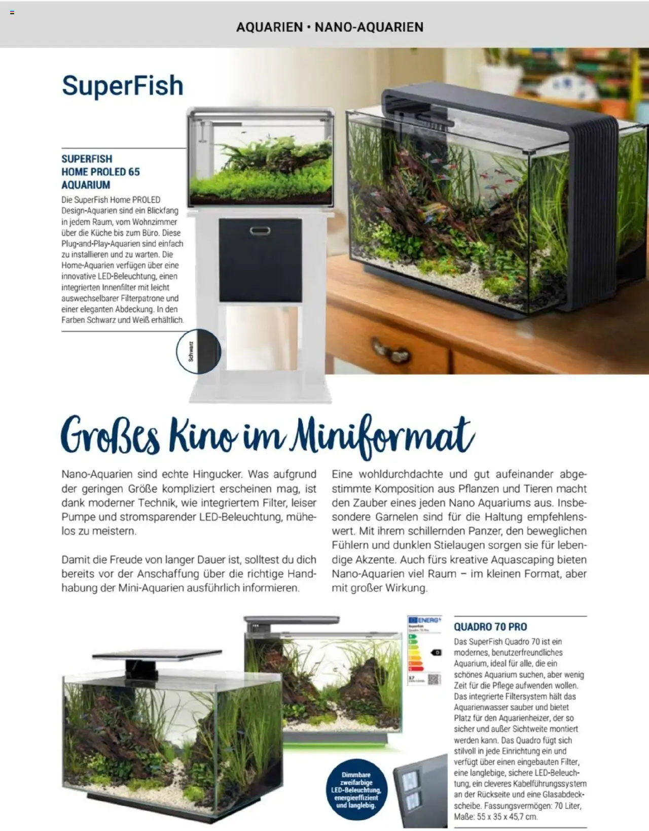 zookauf Themenkatalog Aquaristik – gültig ab 01.10.2025 | Seite: 11 | Produkte: Energy, Küche, Garnelen