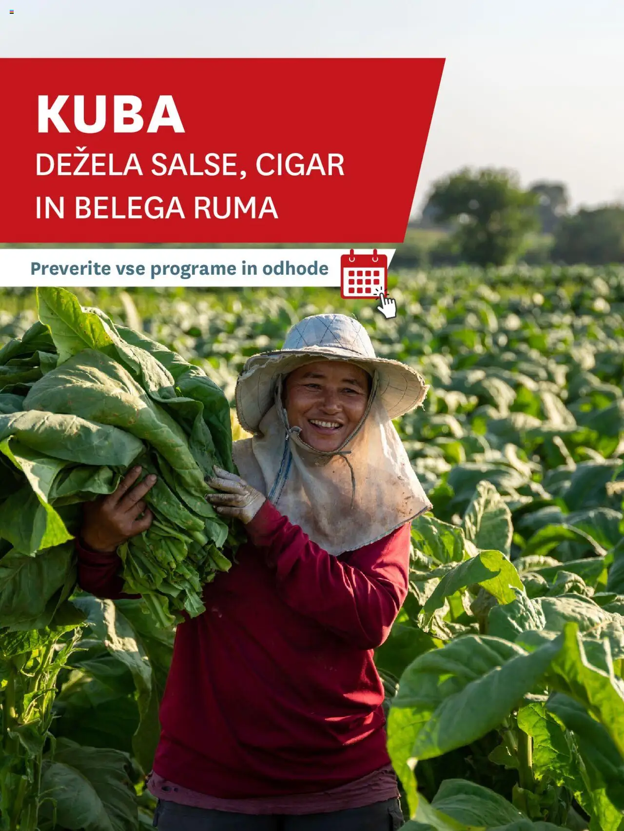 Novi Palma katalog ponudbe – veljaven od 01.01.2025 | Stran: 14