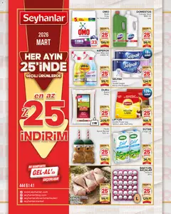 25.03.2026 tarihinden itibaren geçerli olan Seyhanlar Market kataloğu önizlemesi | Sayfa: 1