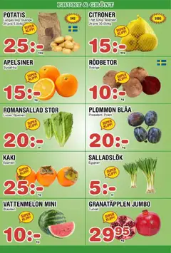 Nya Pulsen - erbjudanden - Förhandsvisning av reklamblad från butik Nya Pulsen aktuell från 20.10.2025 | Sida: 7 | Produkter: Plommon, Romansallad, Potatis, Salladslök