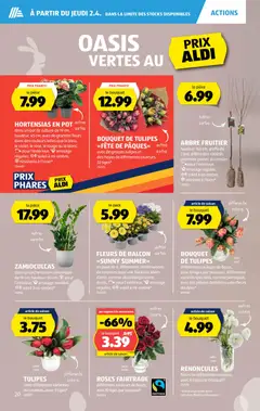 Aldi aktionen FR ab 02.04.2026 gültig | Seite: 21 | Produkte: Vase, Rouge