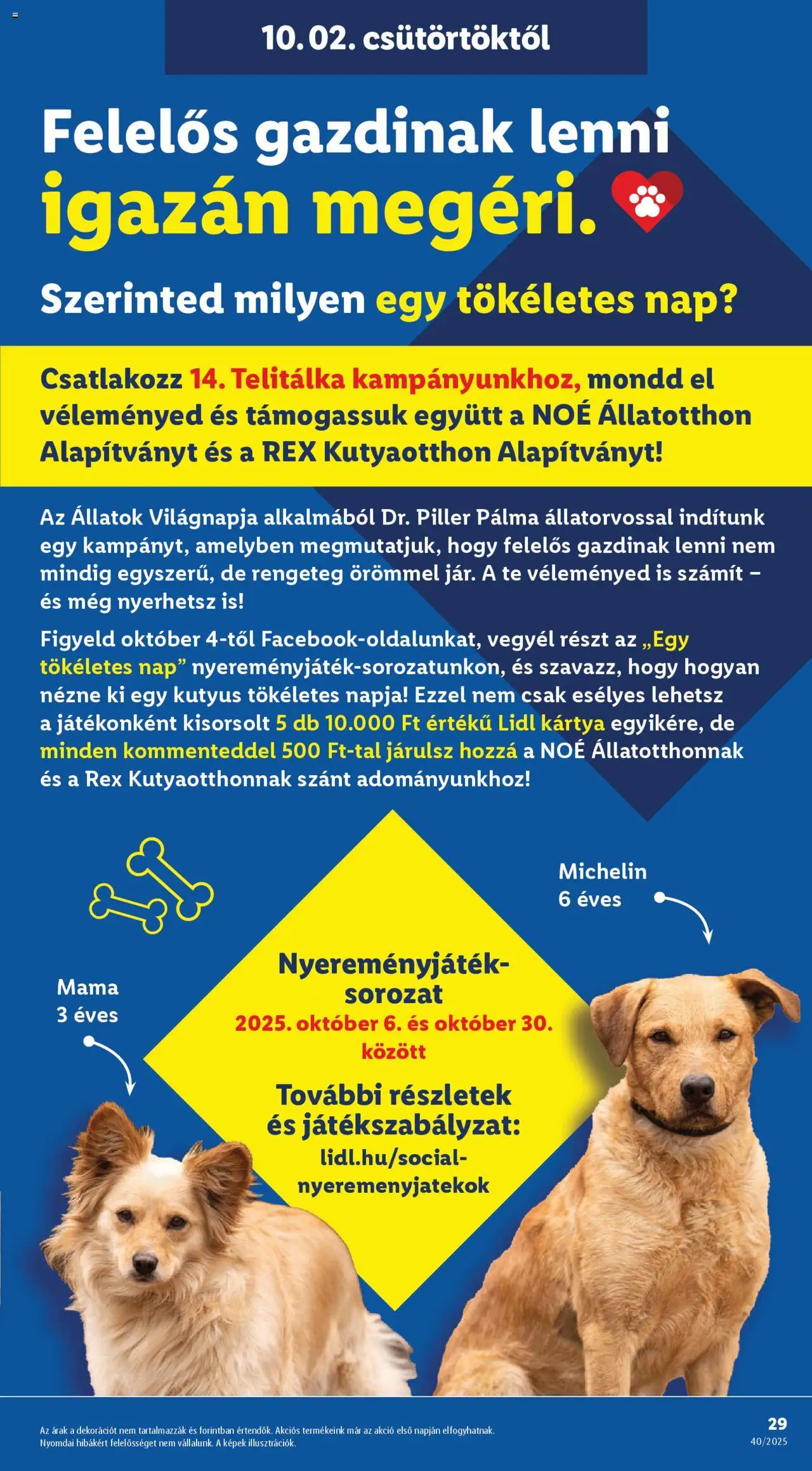 Lidl akciós ujság - amely érvényes a következő dátumtól: 02.10.2025 | Oldal: 29