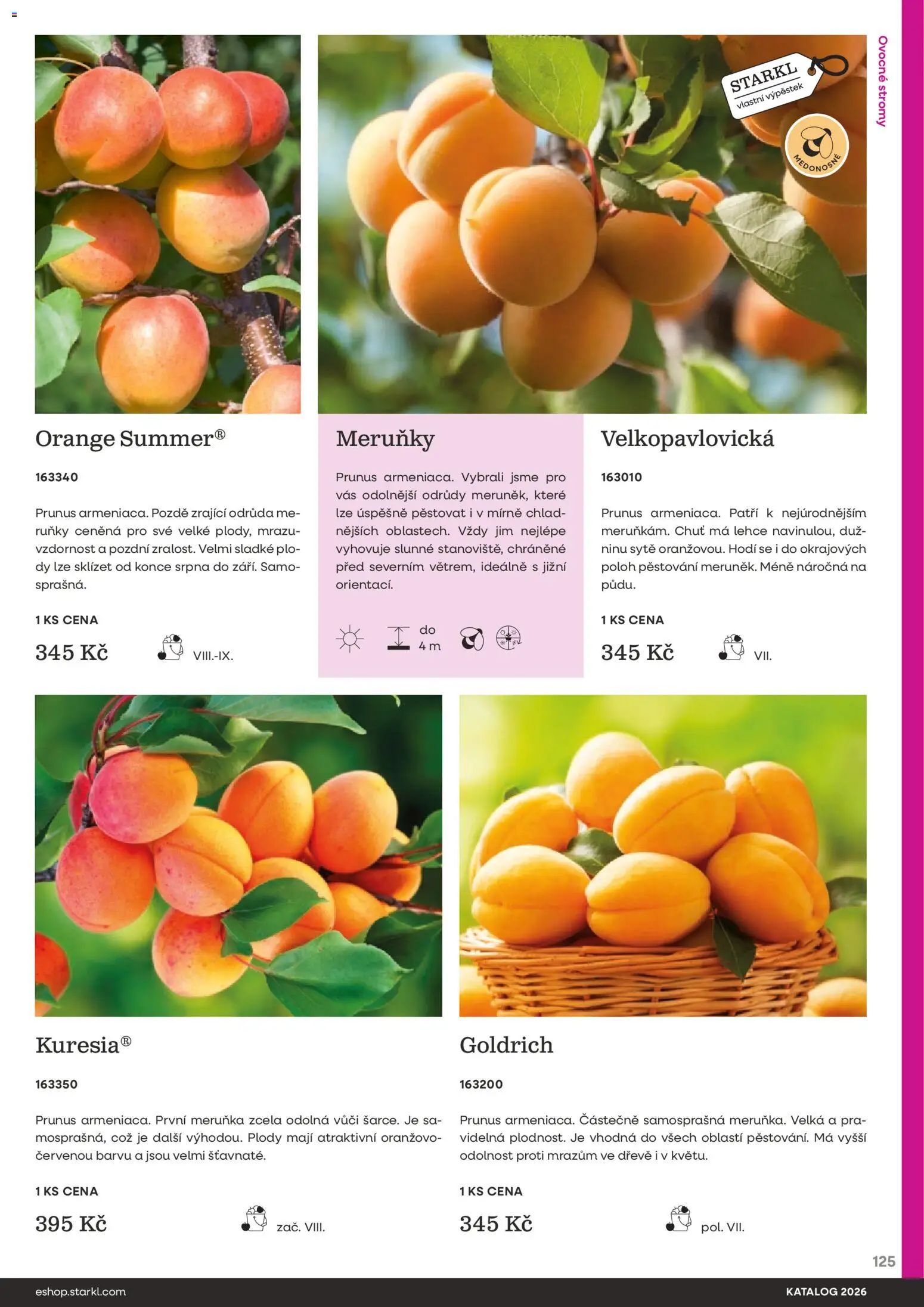 Starkl katalog od 25.02.2026 | Strana: 125 | Produkty: Meruňky