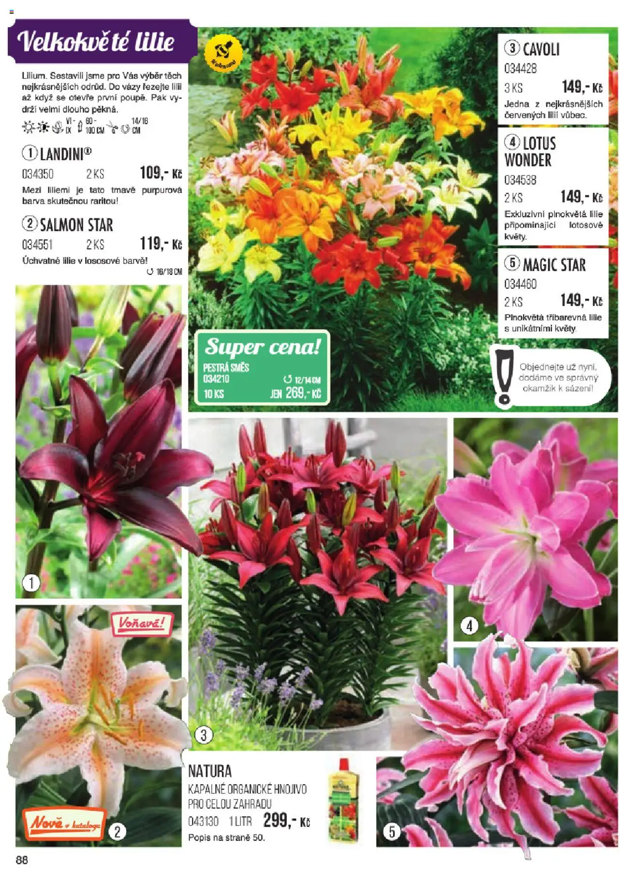 Starkl katalog jaro 2024 od 06.01.2025 | Strana: 88 | Produkty: Vázy, Hnojivo, Lotus