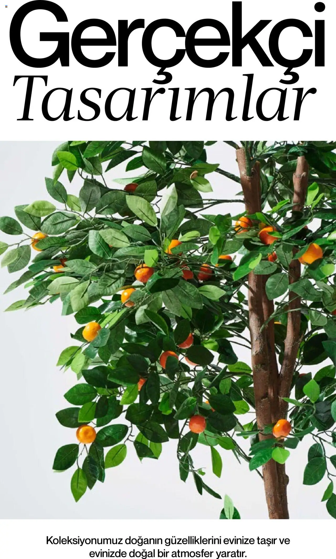 Mudo Katalog - BAHÇE 2025 - 04.06.2025 tarihinden itibaren geçerlidir | Sayfa: 169