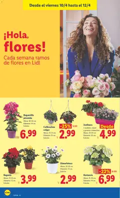Vista previa Lidl folleto válido desde el 06.04.2026 | Página: 56 | Productos: Jardinera