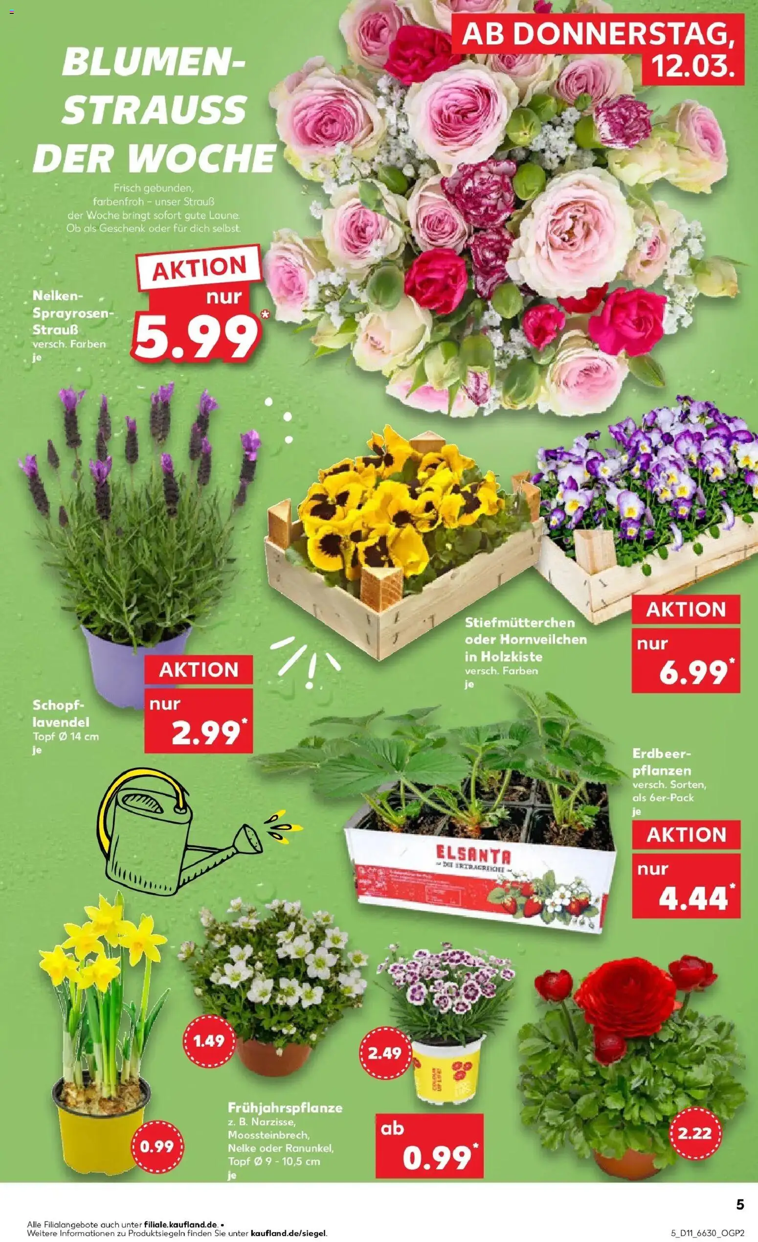 Kaufland Prospekt Höxter	 – gültig ab 09.03.2026 | Seite: 17 | Produkte: Stiefmutterchen, Box, Blumen, Lavendel