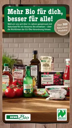 Rewe prospekt Wunstorf / Luthe	 ab 26.10.2025 gültig | Seite: 8 | Produkte: Mozzarella, Olivenol, Pasta, Ketchup