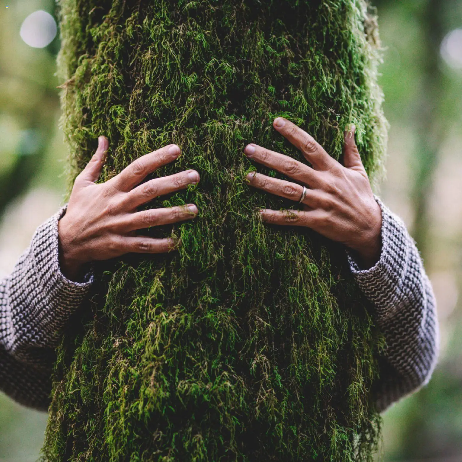 Salony Agata Gazetka - Natura od 27.01.2026 | Strona: 6