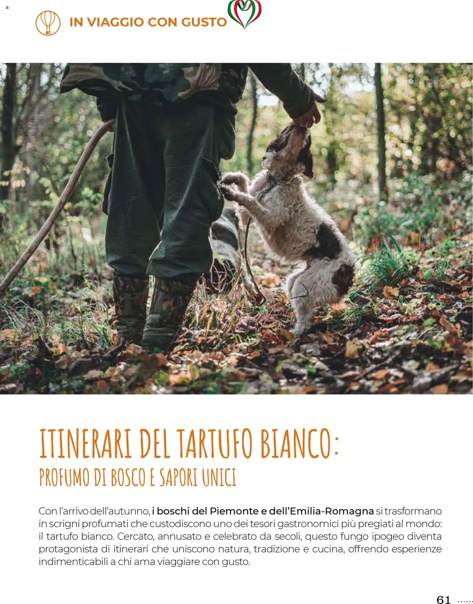 Volantino Gulliver del 31.10.2025 | Pagina: 61 | Prodotti: Tartufo, Profumo