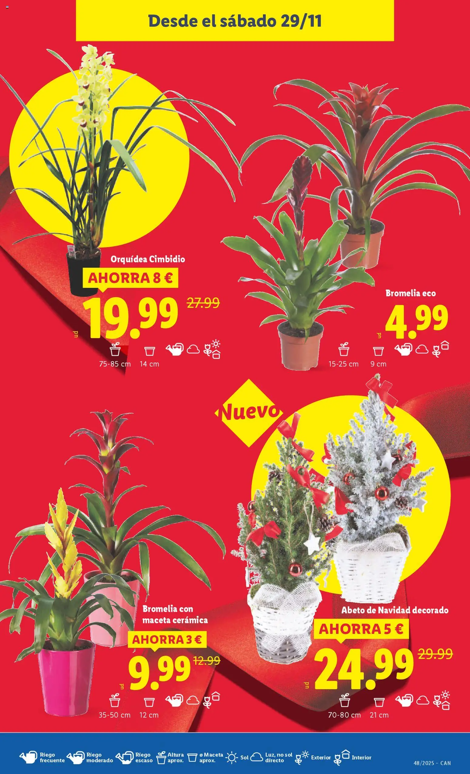 Lidl - Canarias  │ válido desde el 24.11.2025 | Página: 45 | Productos: Maceta
