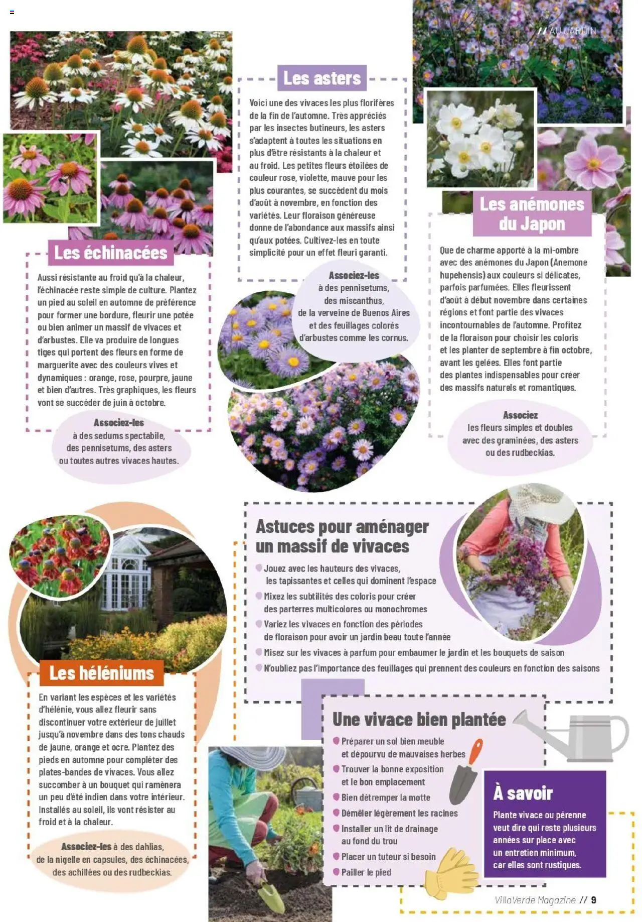  | Page: 9 | Produits: Meuble, Plantes, Lit, Magazine