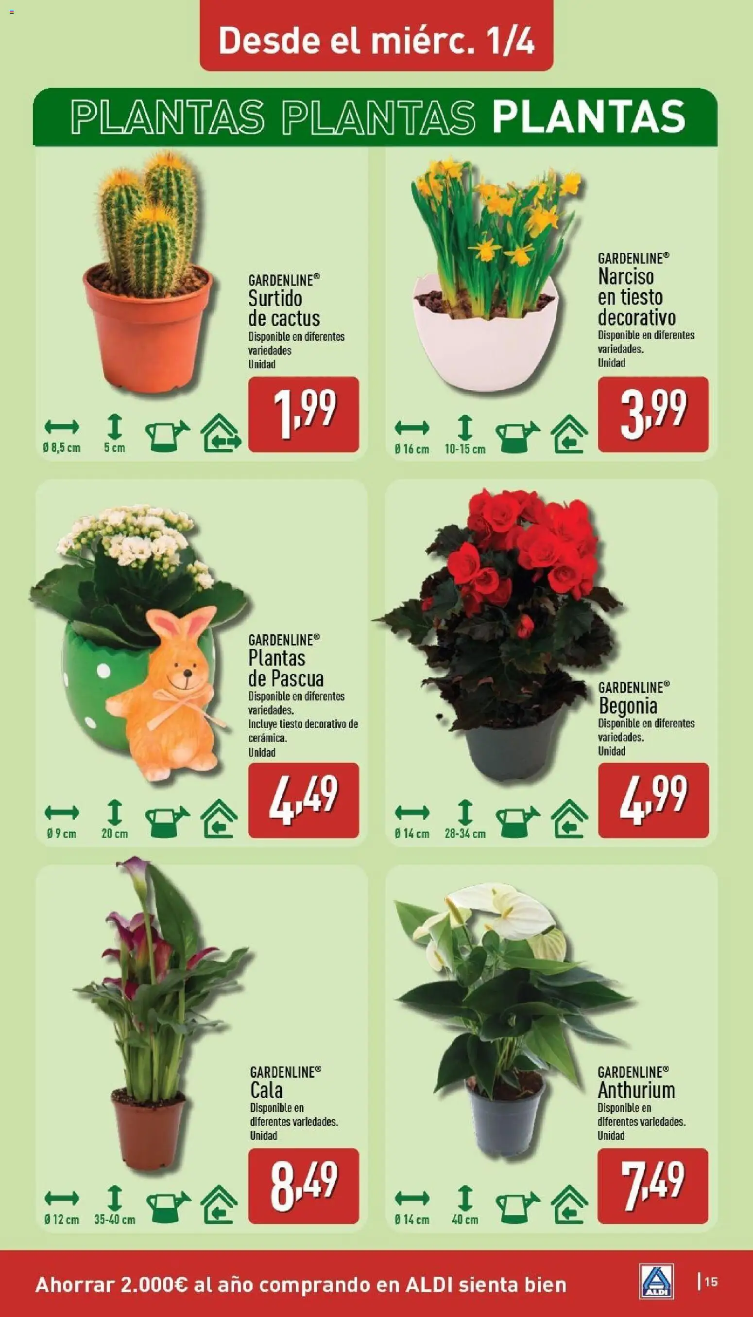 Aldi folleto Península │ válido desde el 30.03.2026 | Página: 15