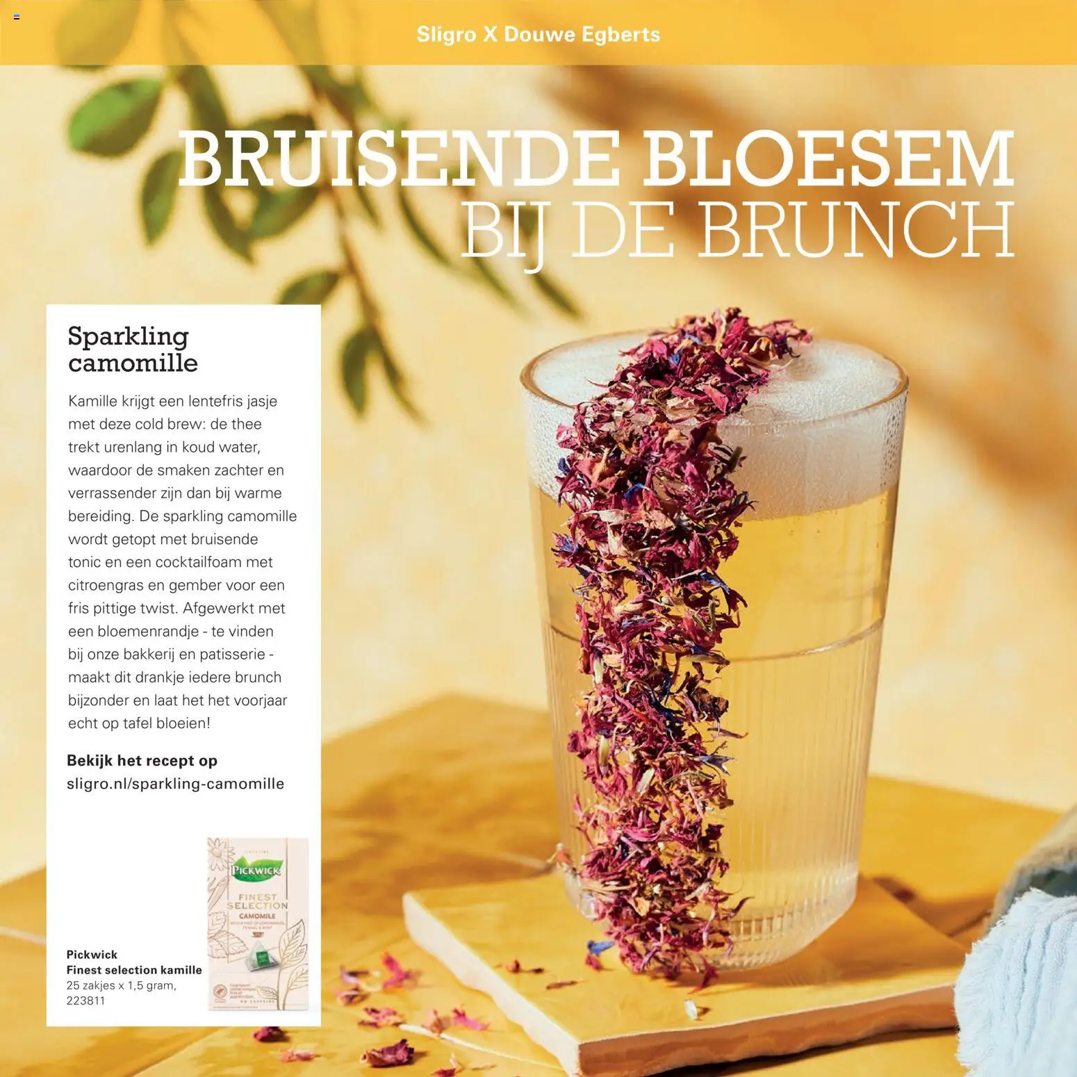 {H1} | Pagina: 16 | Producten: Thee, Bakkerij, Tafel, Gember