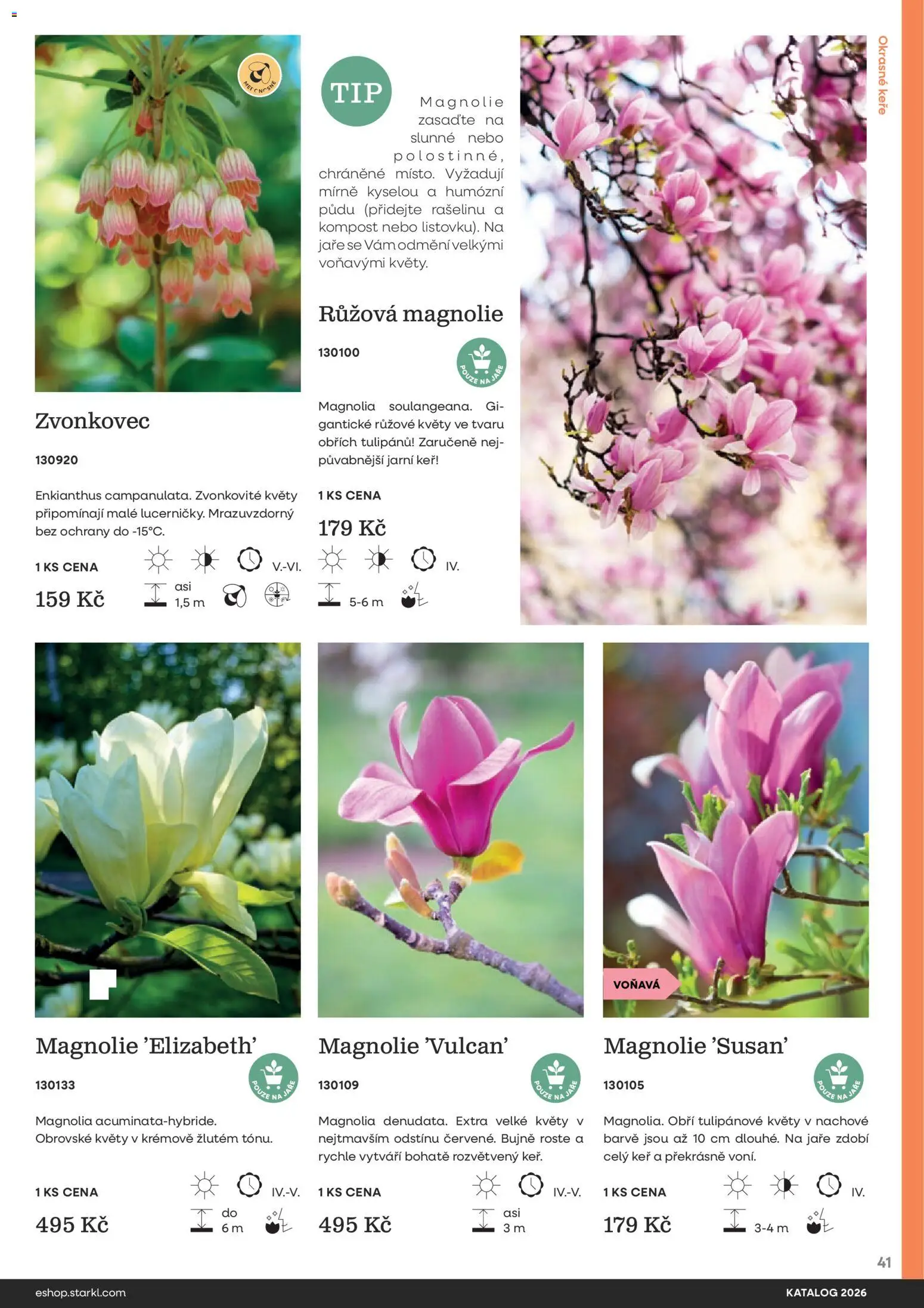 Starkl katalog od 25.02.2026 | Strana: 41