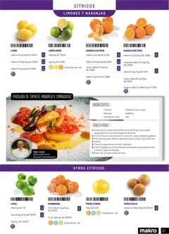 Vista previa Makro - Especial Frutas y Verduras Península válido desde el 05.01.2026 | Página: 67