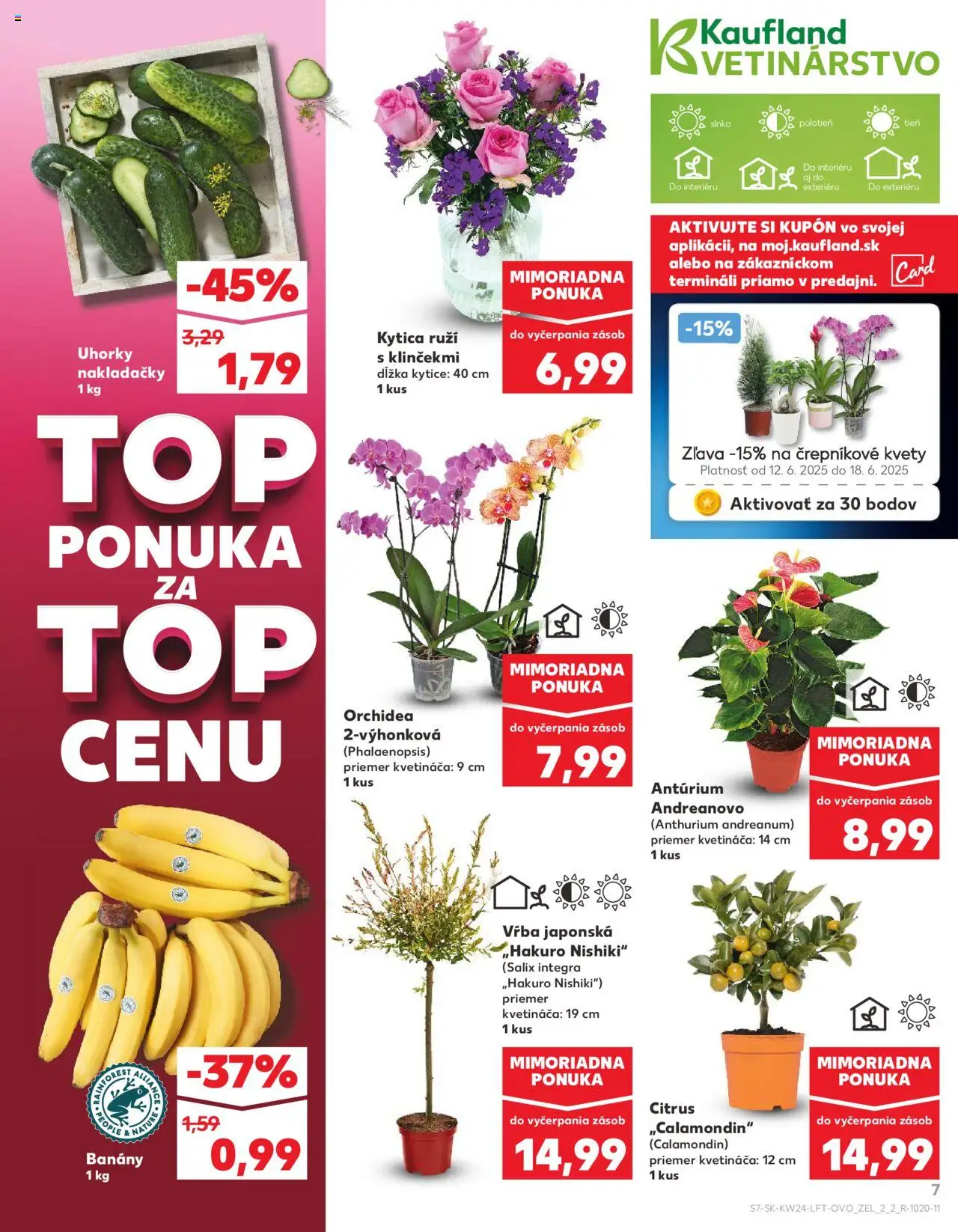 Nové Kaufland akcie – leták je platný od 12.06.2025 | Strana: 7 | Produkty: Banány, Kvety, Orchidea, Uhorky