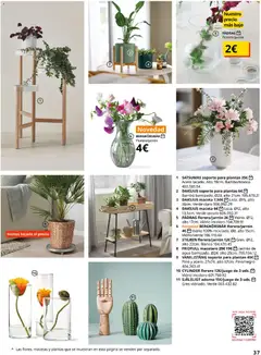 Vista previa Catálogo IKEA Accesorios y decoración válido desde el 01.02.2026 | Página: 37