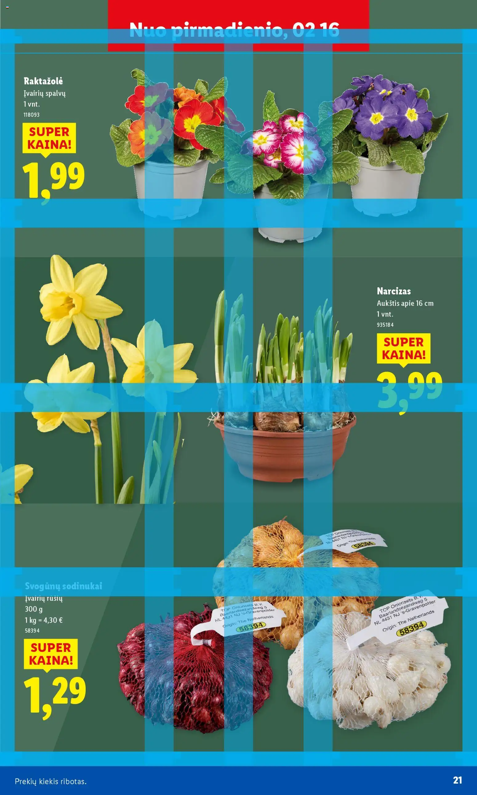 LIDL akcijos nuo 16.02.2026 | Puslapis: 9