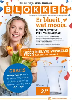 Blokker - Folder - Voorbeeld van een folder van Blokker, geldig van 16.07.2025