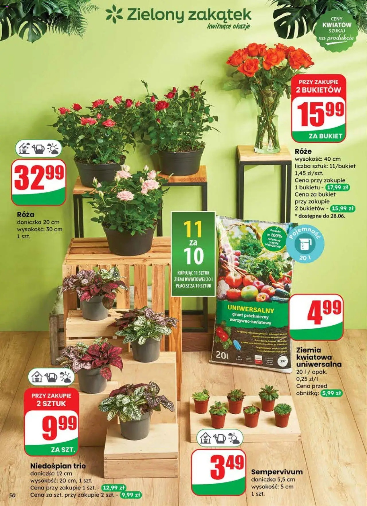 Dino Gazetka od 25.06.2025 | Strona: 50 | Produkty: Ziemia uniwersalna, Ziemia, Półka, Doniczka