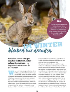 Fressnapf Friends 06/25 ab 01.11.2025 gültig | Seite: 34 | Produkte: Eis