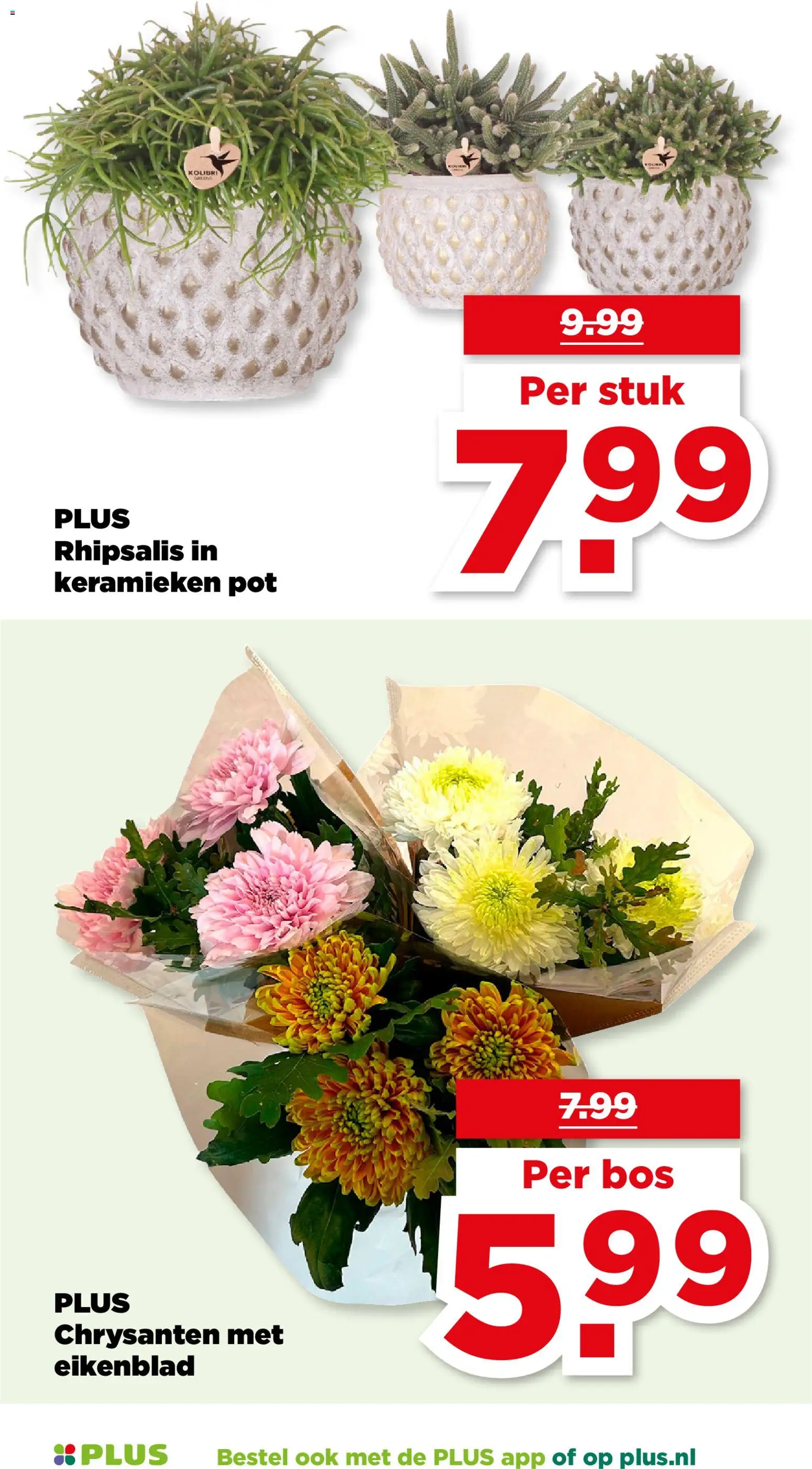 {H1} | Pagina: 47 | Producten: Pot