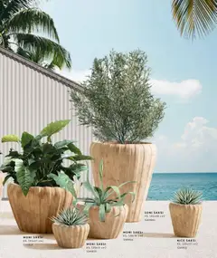 01.01.2026 tarihinden itibaren geçerli olan Mudo kataloğu önizlemesi | Sayfa: 5