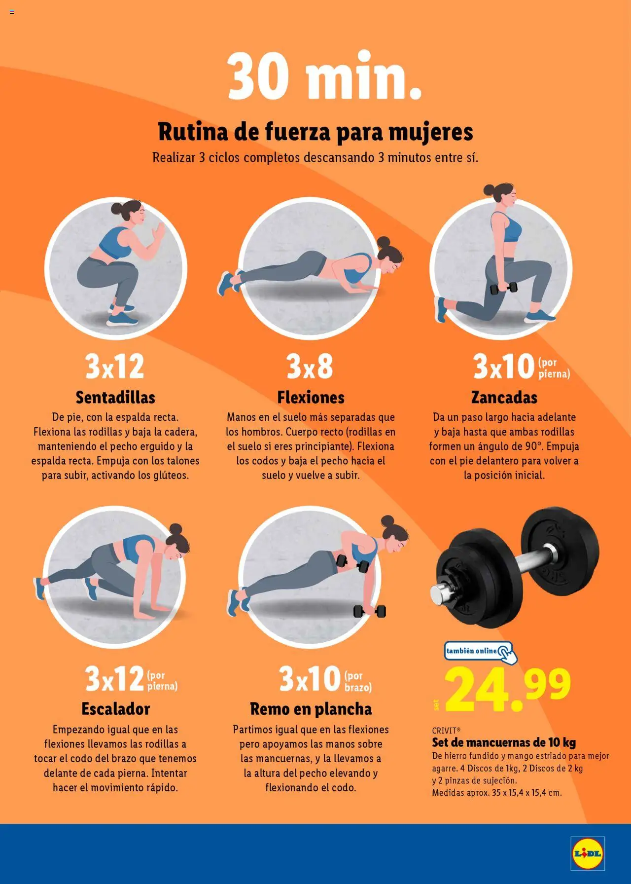 Lidl folleto │ válido desde el 23.06.2025 | Página: 11 | Productos: Ρούτερ, Plancha