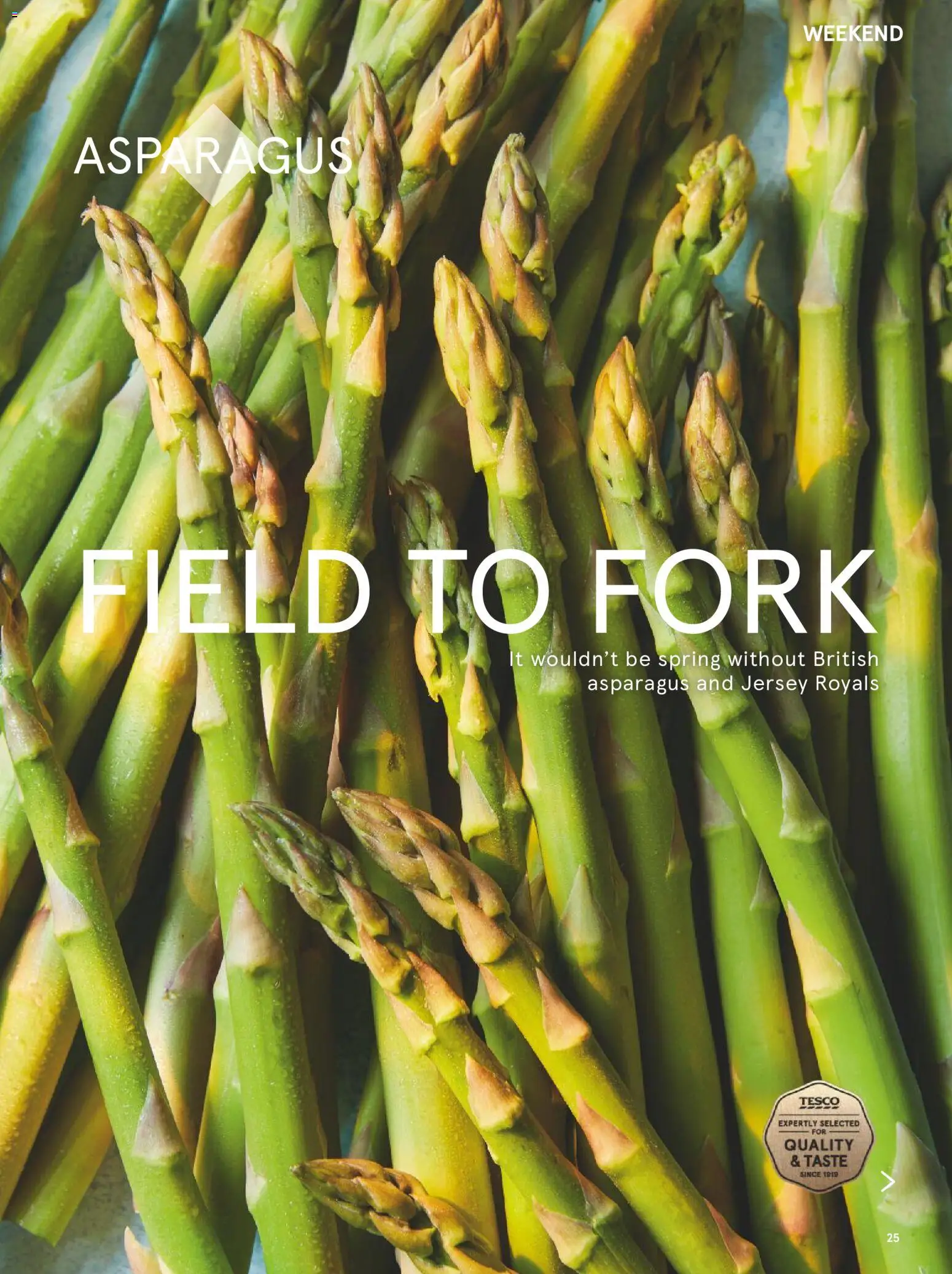 {H1} | Page: 25 | Products: Fork