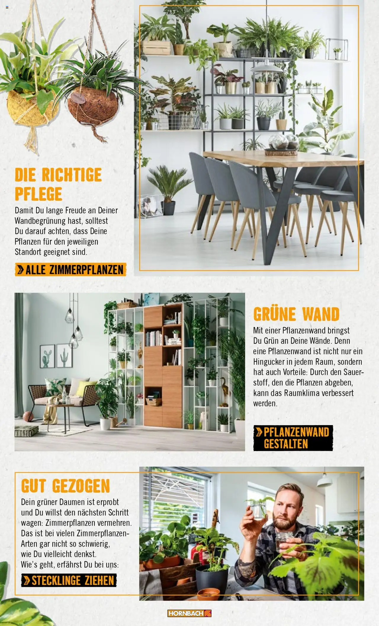 Hornbach Wände 2024 gültig ab 28.10.2024 | Seite: 51