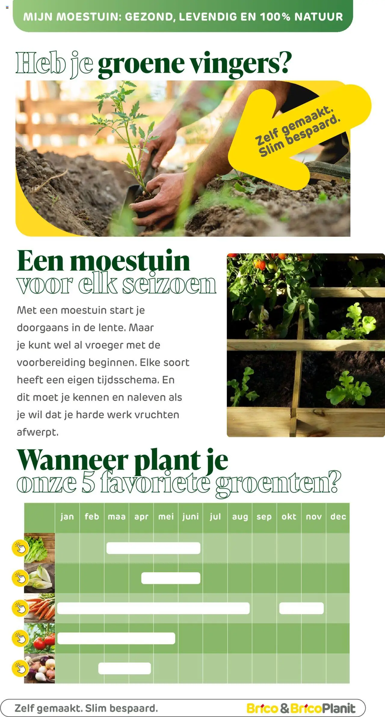  | Pagina: 181 | Producten: Groenten
