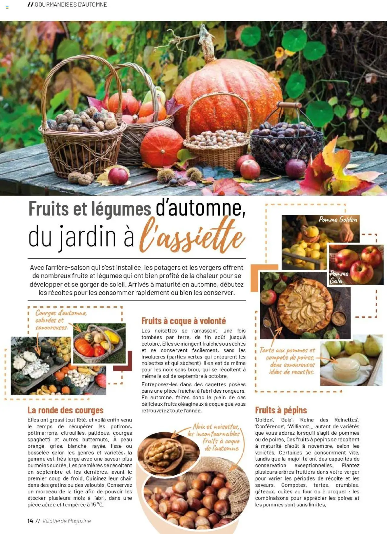 {H1} | Page: 14 | Produits: Spaghetti, Four, Tarte aux pommes, Noix