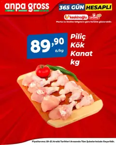 19.12.2025 tarihinden itibaren geçerli olan Anpa Gross kataloğu önizlemesi
