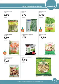 Anteprima del volantino Volantino Sogegross	 valido a partire dal 28.01.2026 | Pagina: 9