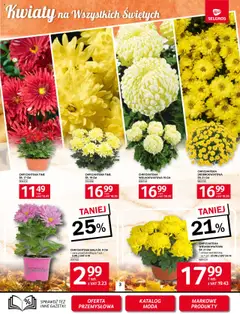 Pogląd oferty "Selgros cash&carry Gazetka" - ważna od 23.10.2025 | Strona: 3 | Produkty: Kwiaty