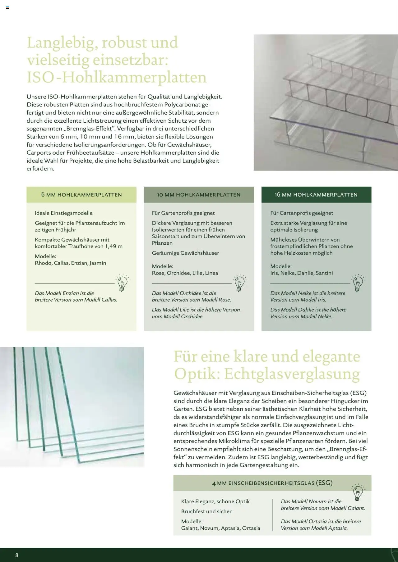 Dehner KGT – Kreative Gartentechnik gültig ab 04.02.2025 | Seite: 8