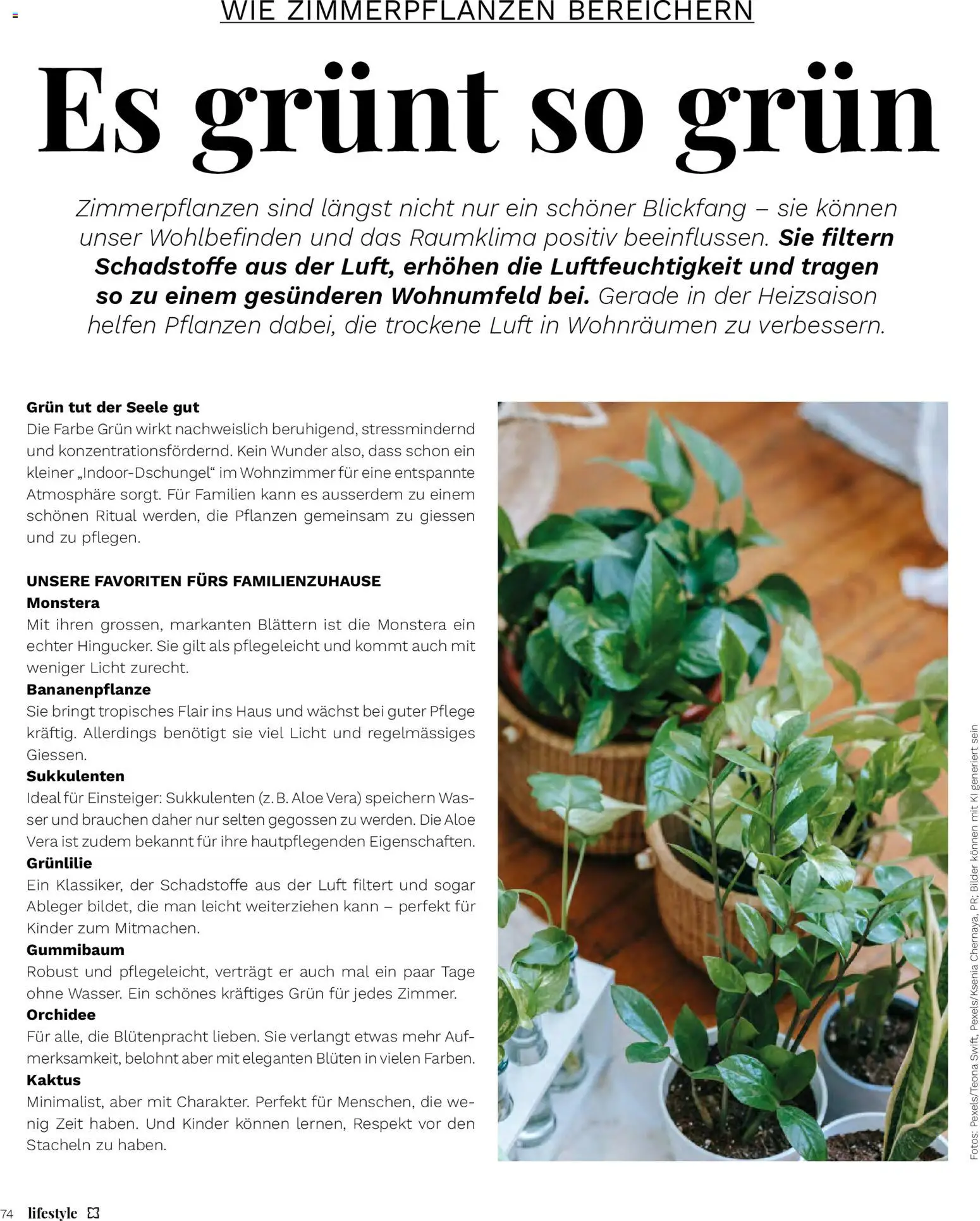 Müller Magazin – gültig ab 15.01.2026 | Seite: 74 | Produkte: Wasser, Bilder