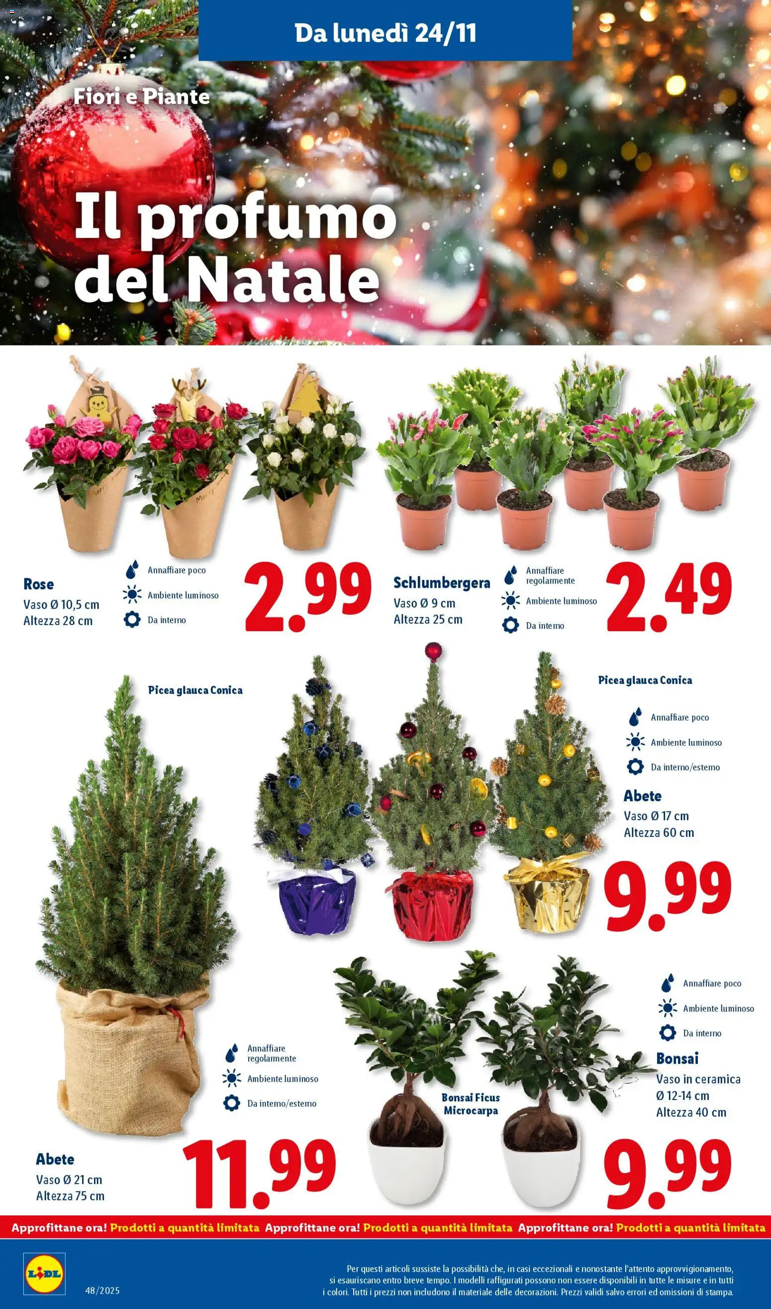 Volantino Lidl del 24.11.2025 | Pagina: 28 | Prodotti: Vaso, Profumo