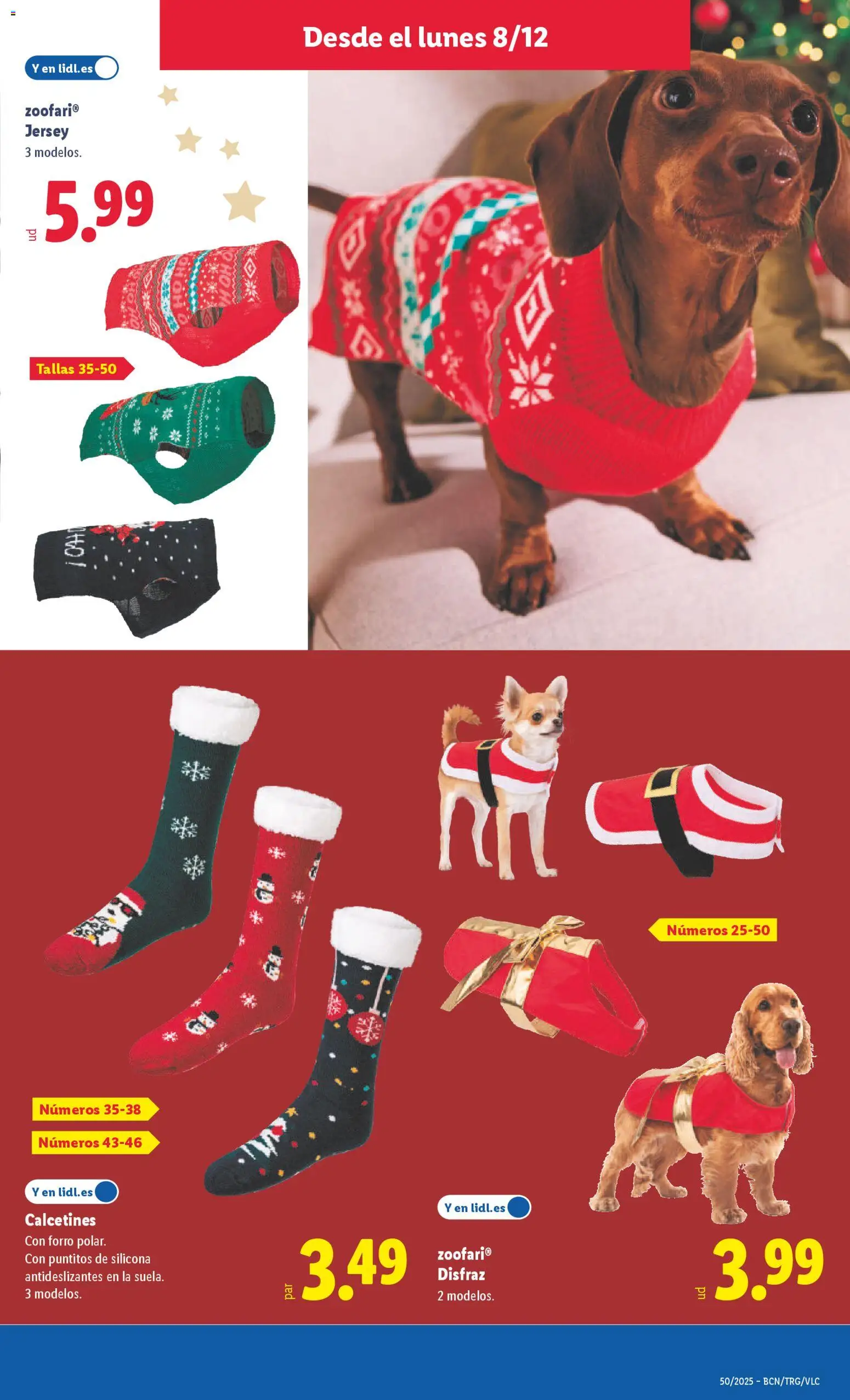 Lidl folleto de bazar │ válido desde el 08.12.2025 | Página: 21