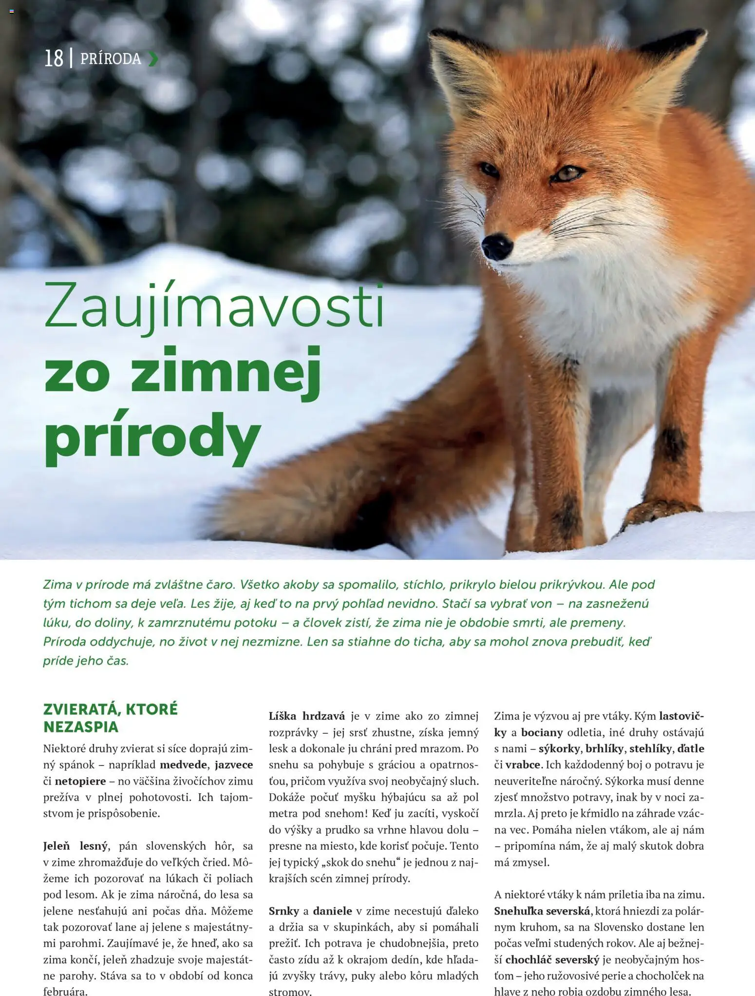 Nové Kinekus akcie – leták je platný od 15.12.2025 | Strana: 18