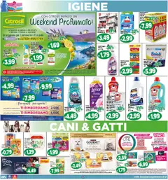 Volantino Il Castoro del 16.07.2025 | Pagina: 19 | Prodotti: Tè, Prosciutto, Crocchette, TV