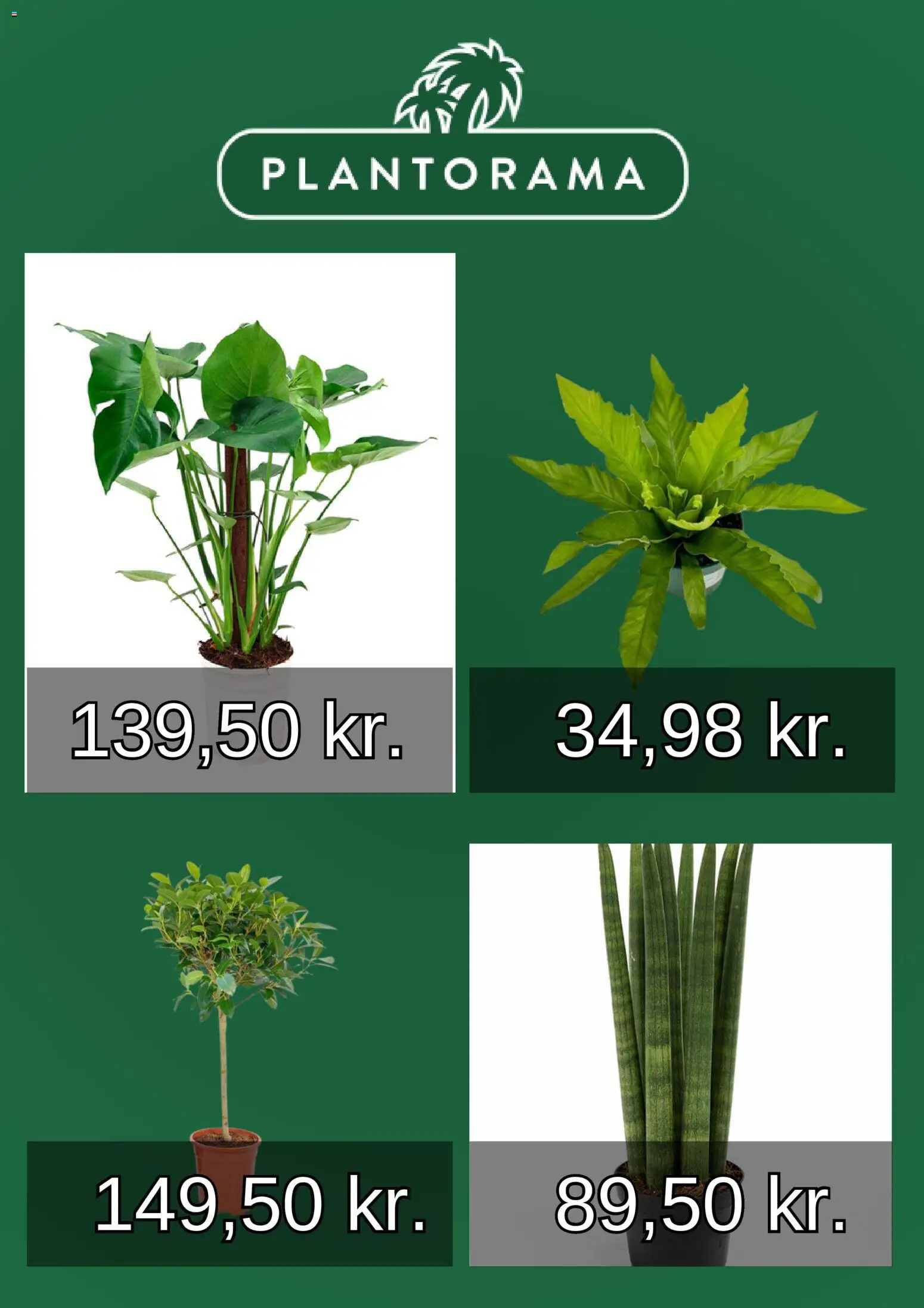 Plantorama tilbudsavis – gyldig fra 01.01.2026 | Side: 3