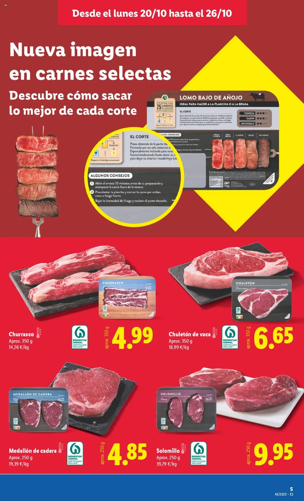 Lidl folleto │ válido desde el 20.10.2025 | Página: 11 | Productos: Τυρόπιτα, Plancha