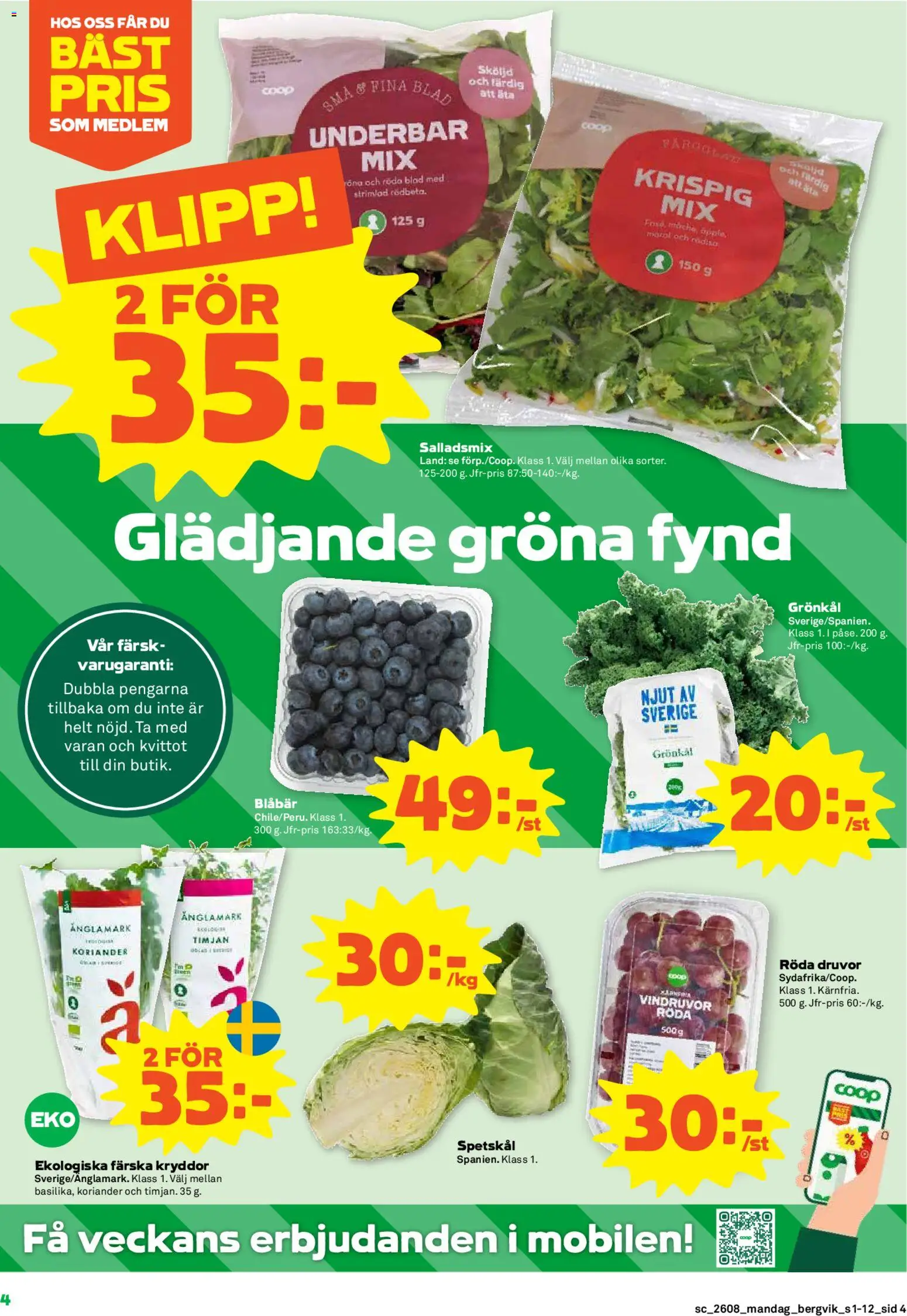 Stora Coop reklamblad aktuell från 16.02.2026 | Sida: 4 | Produkter: Vindruvor, Timjan, Blåbär, Koriander